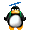 penguin04